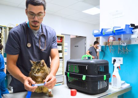 Interne service urgences avec chat Cordeliers